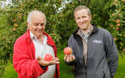 An apple a day…